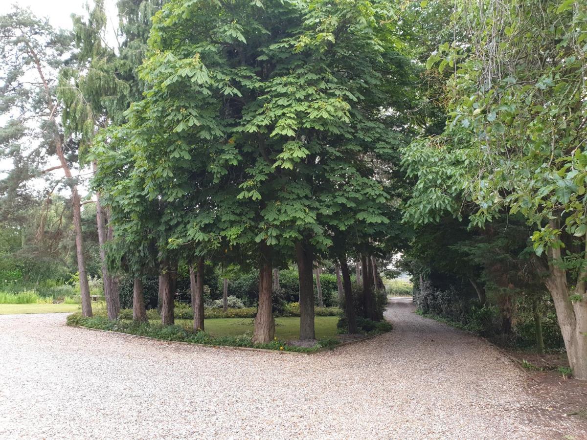 The Reading Whole Chalet With Lake And Two Acre Gardens 外观 照片